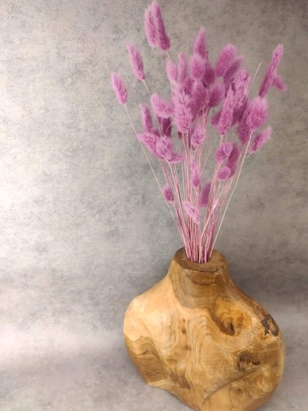 Trockenblumen-Lagurus-lila-stehend